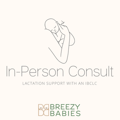 In-Person Lactation Consultation - Breezy Babies