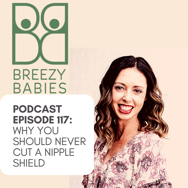 117. Why You Should Never Cut A Nipple Shield with guest Lindsey Parry from Back To Mom