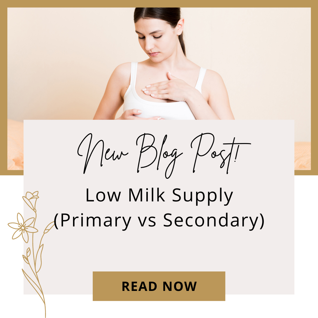 Boosting Your Milk Supply Top Tips for Low Milk Supply