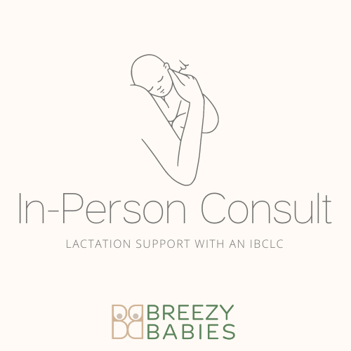 In-Person Lactation Consultation - Breezy Babies