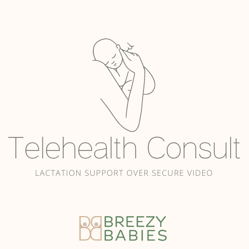 Telehealth (Secure Video) Lactation Consultation - Breezy Babies