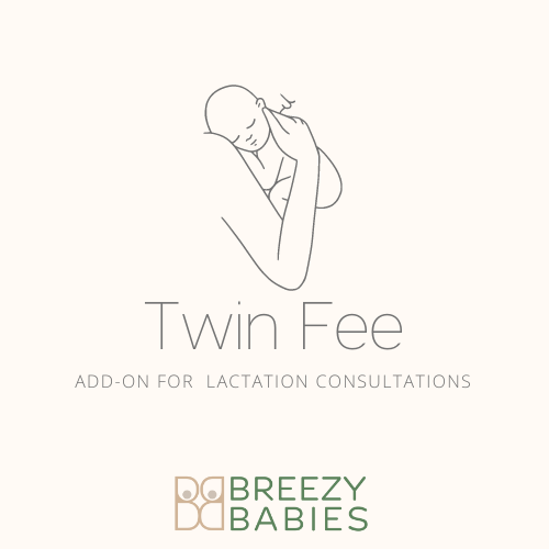 Twin Fee For Lactation Consults - Breezy Babies
